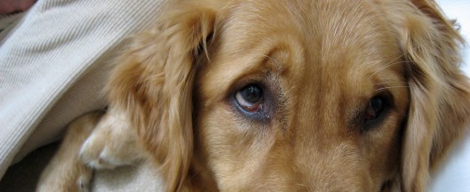 2499640414_04f061fba4_b