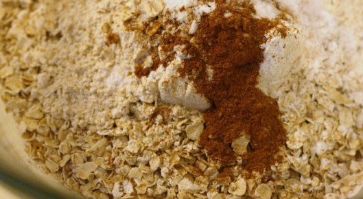 dryoatmealcinna